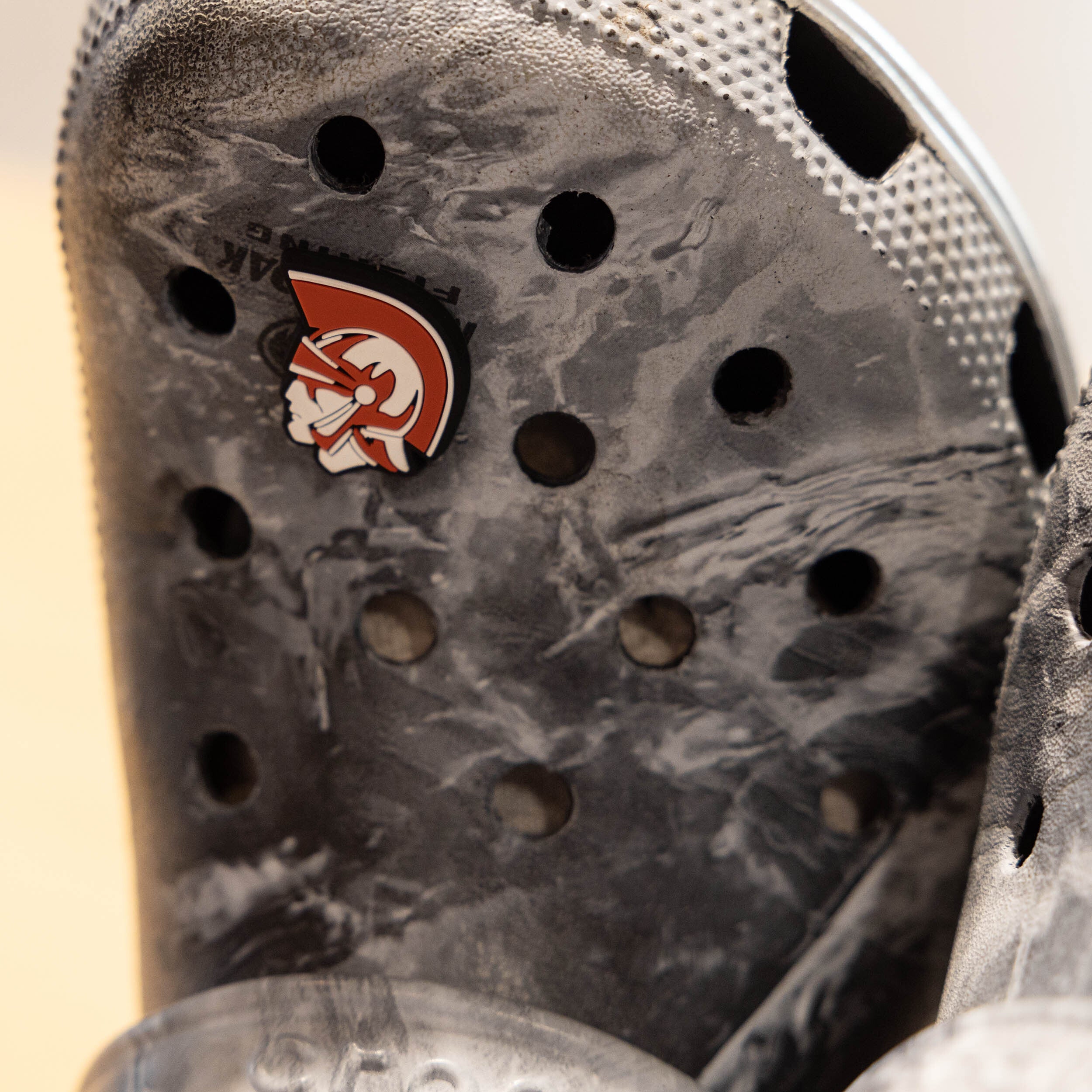 Croc Charms (Troy Head or Trojan Head)